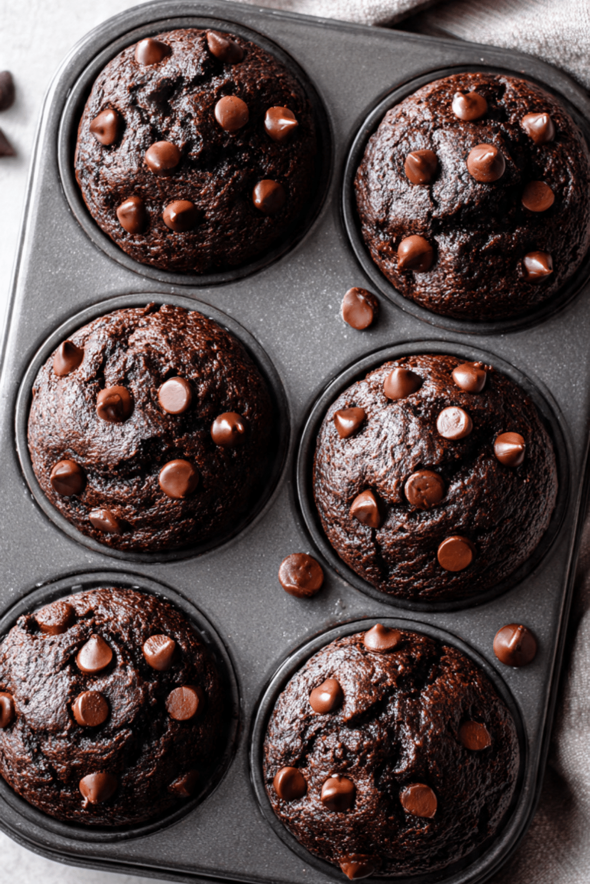 Double Chocolate Muffins