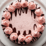 Chocolate Strawberry Cake