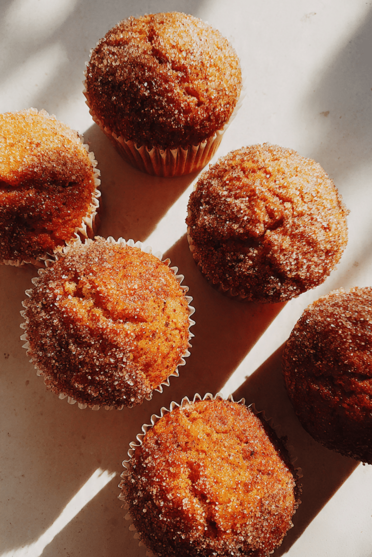 Cinnamon Muffins